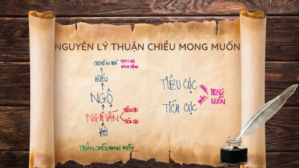 NGLY THUAN CHIEU MONG MUON